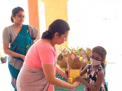 Distribution of Mee Trees for Primary Students